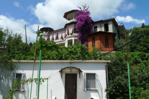 Old Town Guesthouse